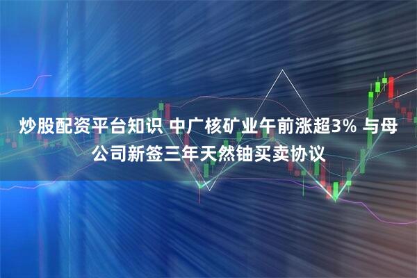炒股配资平台知识 中广核矿业午前涨超3% 与母公司新签三年天然铀买卖协议