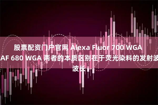股票配资门户官网 Alexa Fluor 700 WGA 与 AF 680 WGA 两者的本质区别在于荧光染料的发射波长